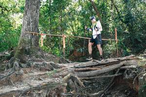 BIB: 
                            <button type="button" onclick="openModal(27744233)" class="btn btn-primary btn-sm float-right btn-popup" data-toggle="modal" data-target=".modal-high-quality">
                        <i class="fas fa-shopping-cart"></i> Add to Cart
                    </button>
                                            <button type="button" onclick="isThisMe(27744233, true)" class="btn btn-success btn-sm float-right btn-popup btn-isme hidden" data-toggle="tooltip" data-placement="bottom" title="นี่คือรูปของคุณใช่ไหม คลิกที่นี่เพื่อเอาเข้าอัลบั้ม">
                        <i class="fas fa-plus"></i> Add to album
                    </button>
                    <button type="button" onclick="isThisMe(27744233, false)" class="btn btn-warning btn-sm float-right btn-popup btn-isnotme hidden">
                        <i class="fas fa-ban"></i> Remove from album
                    </button>